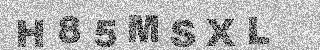 確認代碼