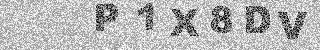 確認代碼