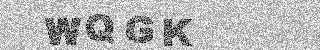 確認代碼